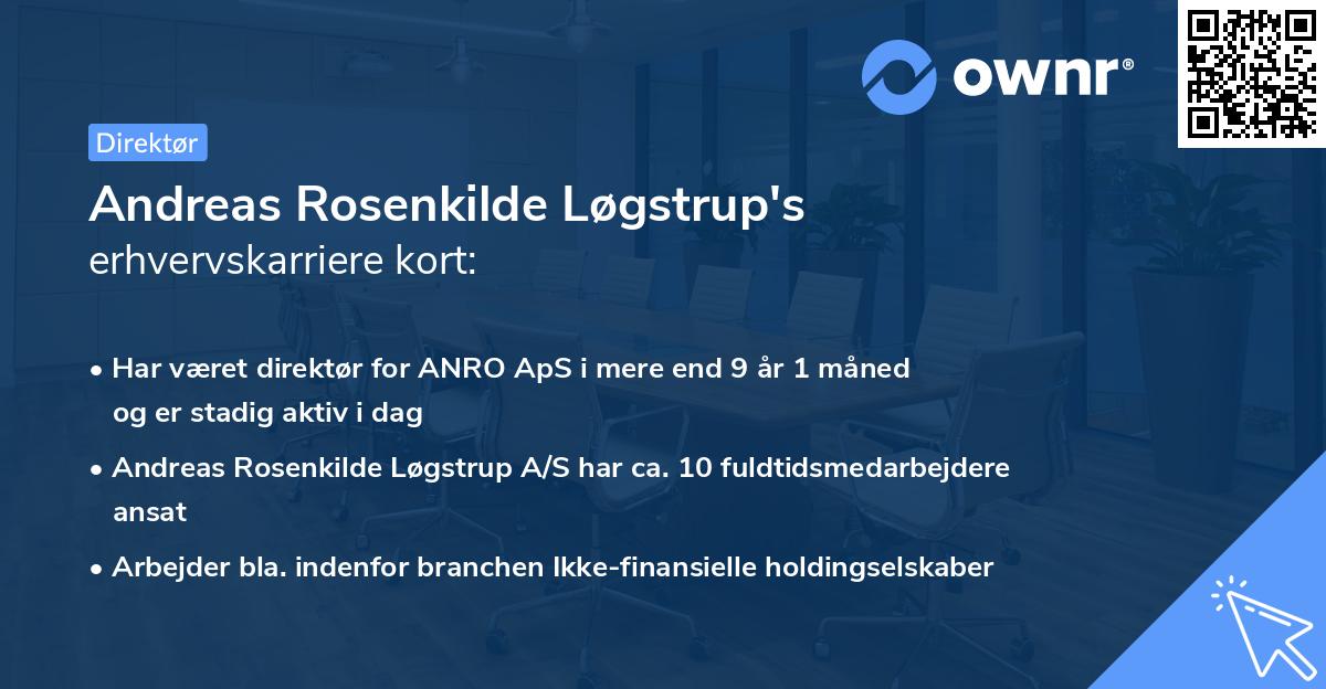 Andreas Rosenkilde Løgstrup's erhvervskarriere kort