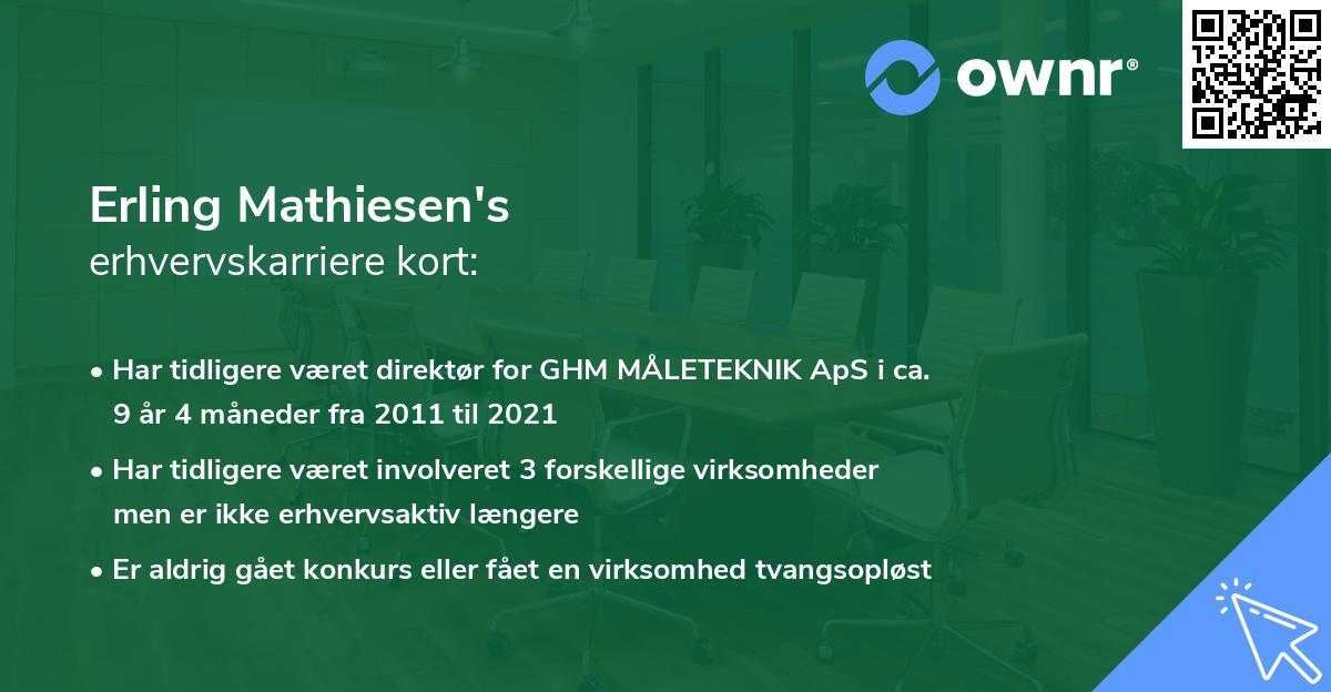 Erling Mathiesen's erhvervskarriere kort