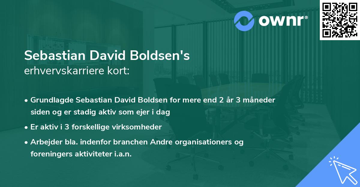 Sebastian David Boldsen's erhvervskarriere kort