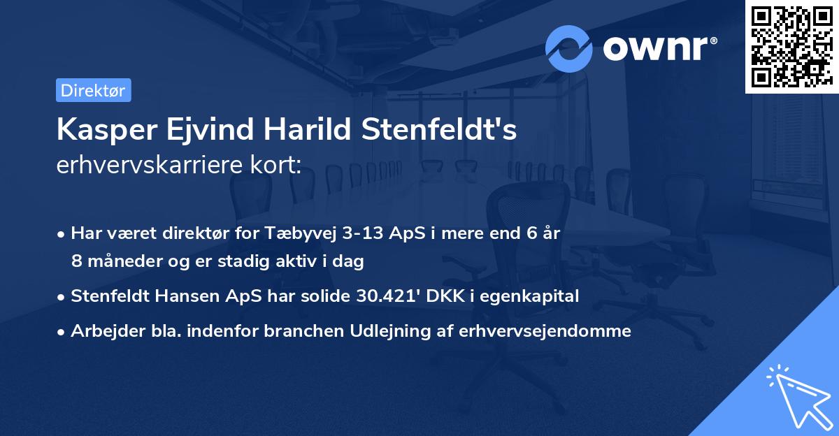 Kasper Ejvind Harild Stenfeldt's erhvervskarriere kort