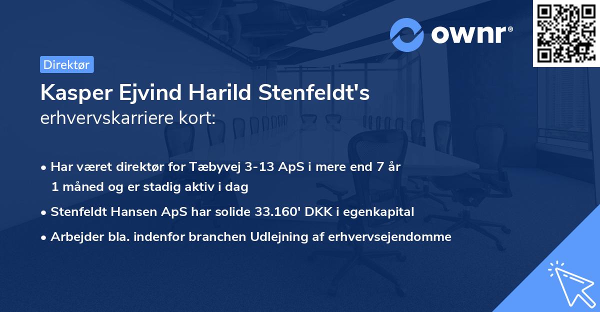 Kasper Ejvind Harild Stenfeldt's erhvervskarriere kort