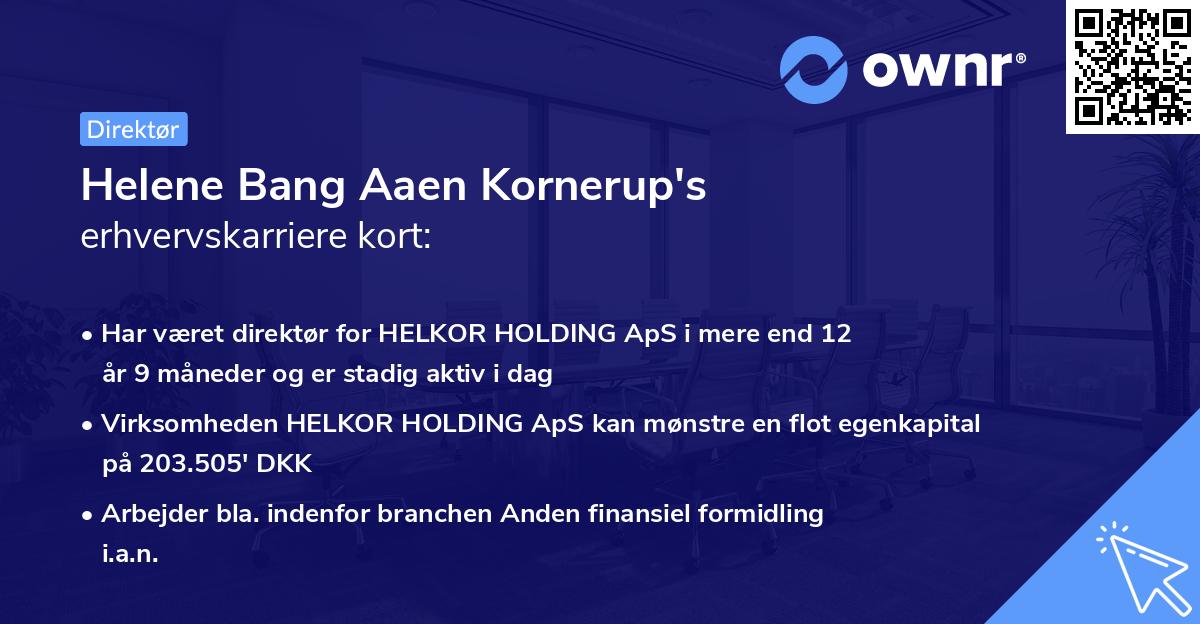 Helene Bang Aaen Kornerup's erhvervskarriere kort