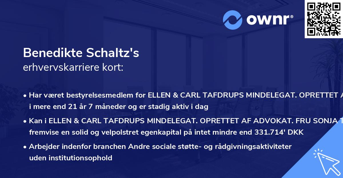 Benedikte Schaltz's erhvervskarriere kort