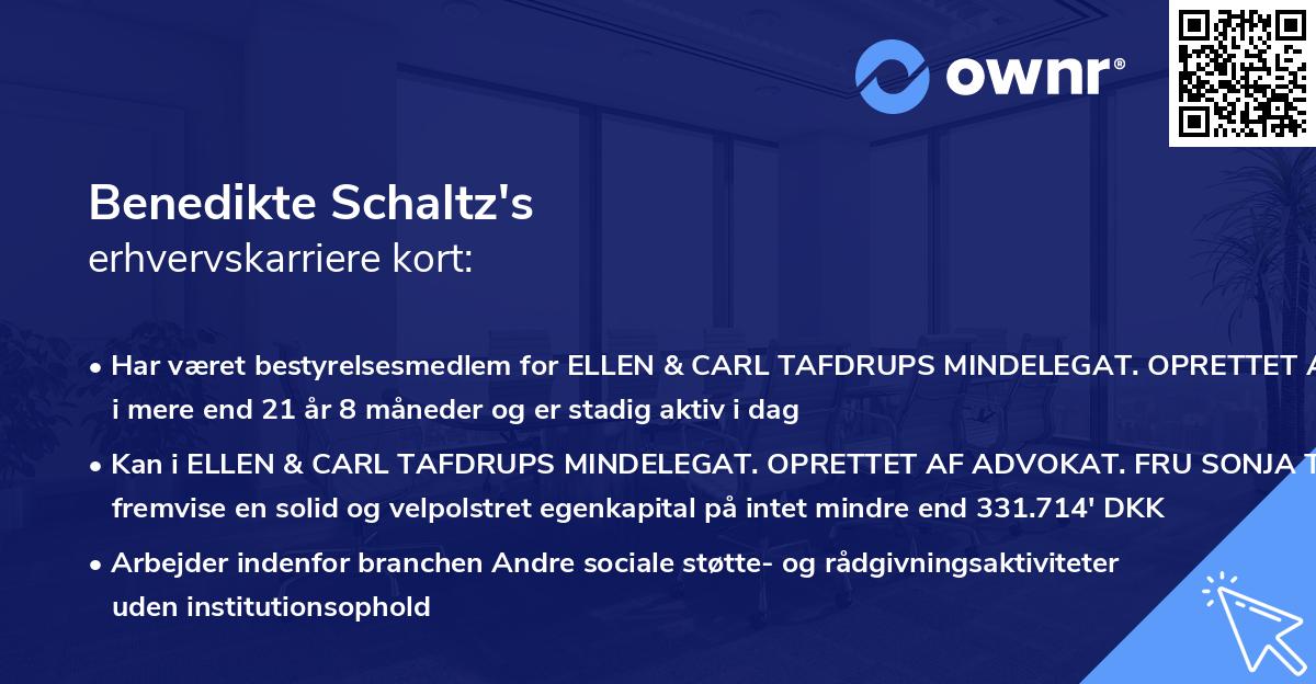 Benedikte Schaltz's erhvervskarriere kort