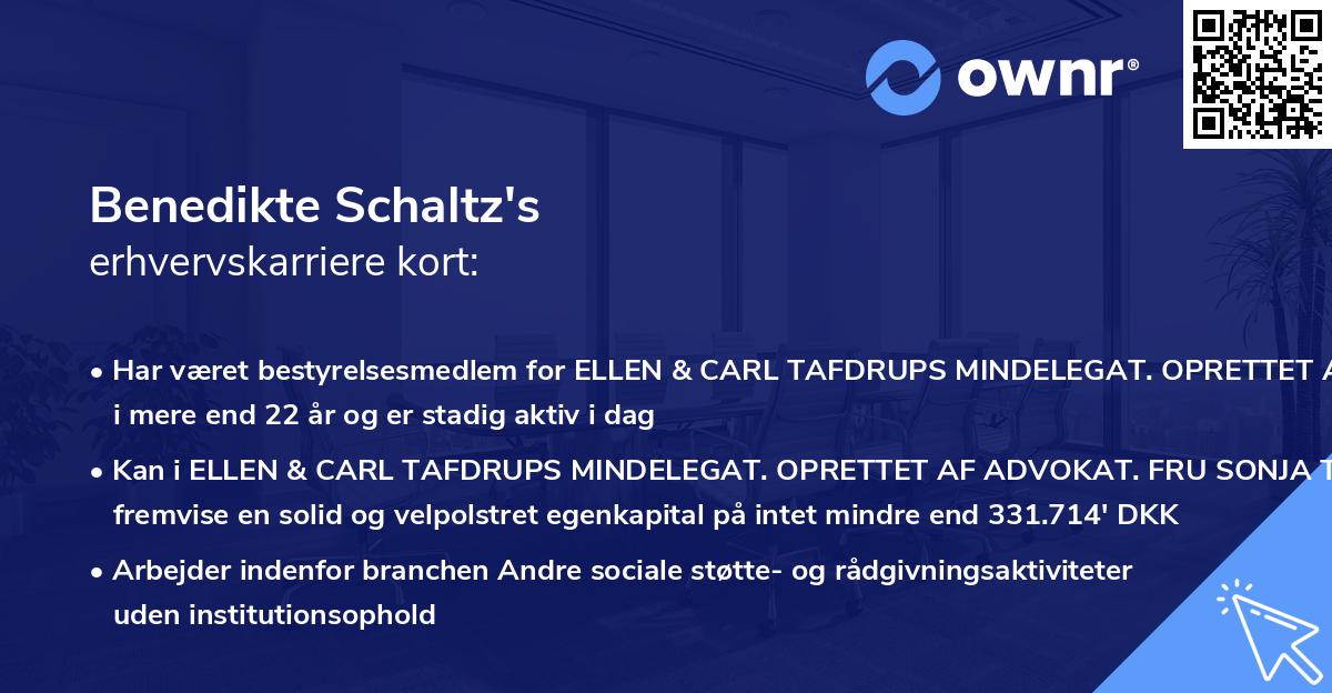 Benedikte Schaltz's erhvervskarriere kort