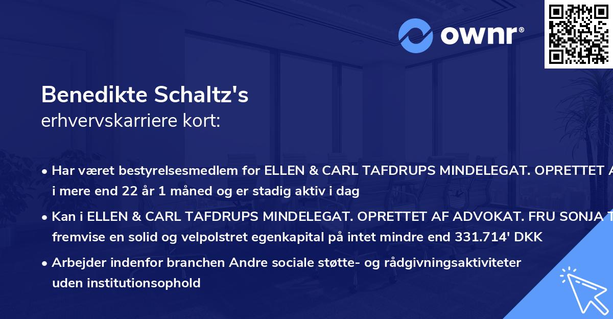 Benedikte Schaltz's erhvervskarriere kort