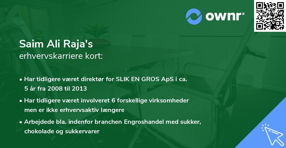 Saim Ali Raja's erhvervskarriere kort