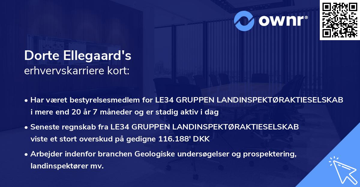 Dorte Ellegaard's erhvervskarriere kort