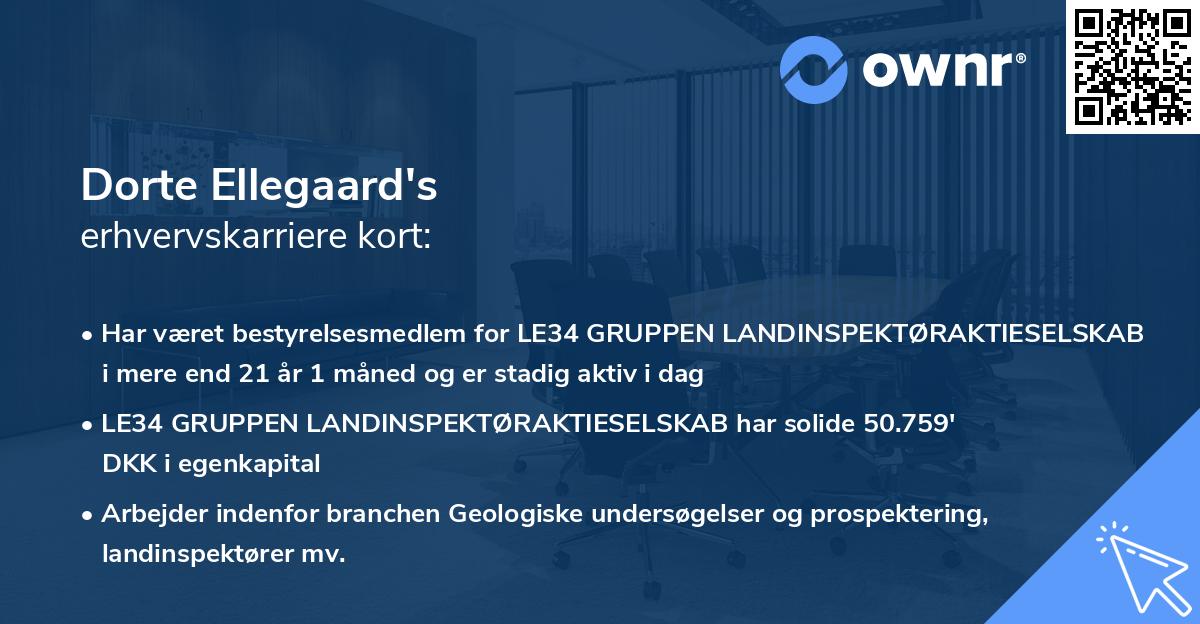 Dorte Ellegaard's erhvervskarriere kort