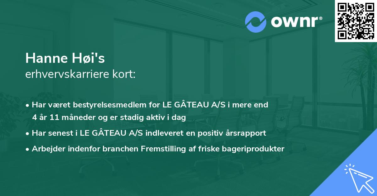 Hanne Høi's erhvervskarriere kort