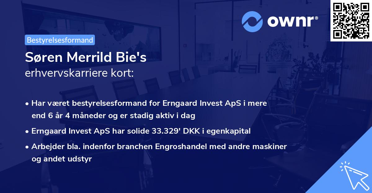 Søren Merrild Bie's erhvervskarriere kort
