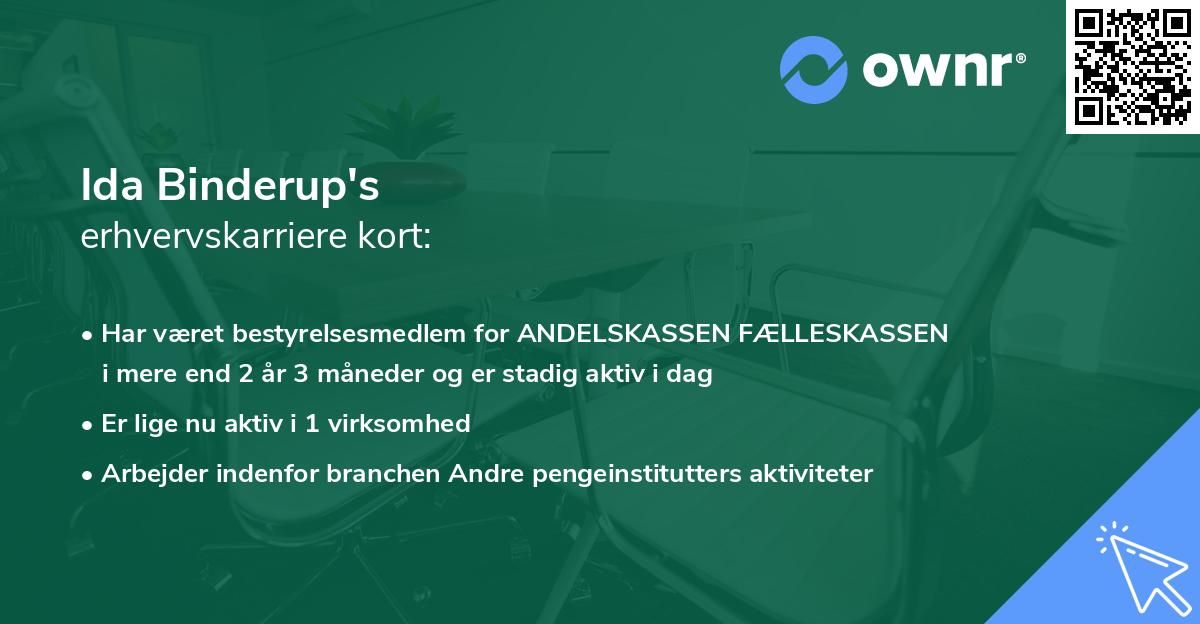 Ida Binderup's erhvervskarriere kort