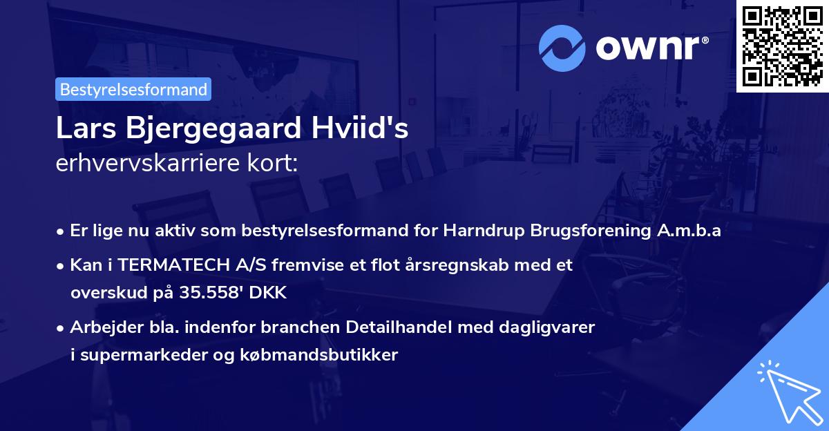 Lars Bjergegaard Hviid's erhvervskarriere kort