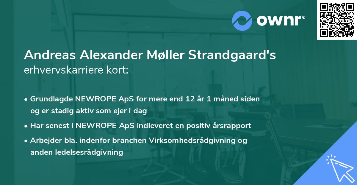 Andreas Alexander Møller Strandgaard's erhvervskarriere kort