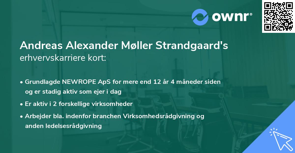 Andreas Alexander Møller Strandgaard's erhvervskarriere kort