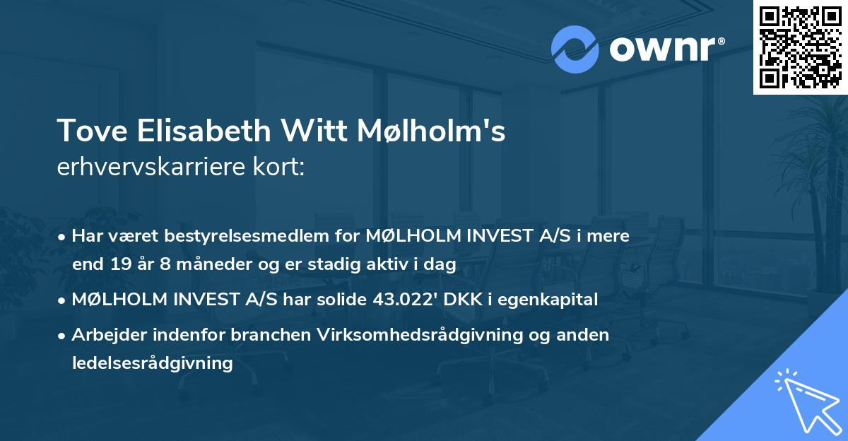 Tove Elisabeth Witt Mølholm's erhvervskarriere kort