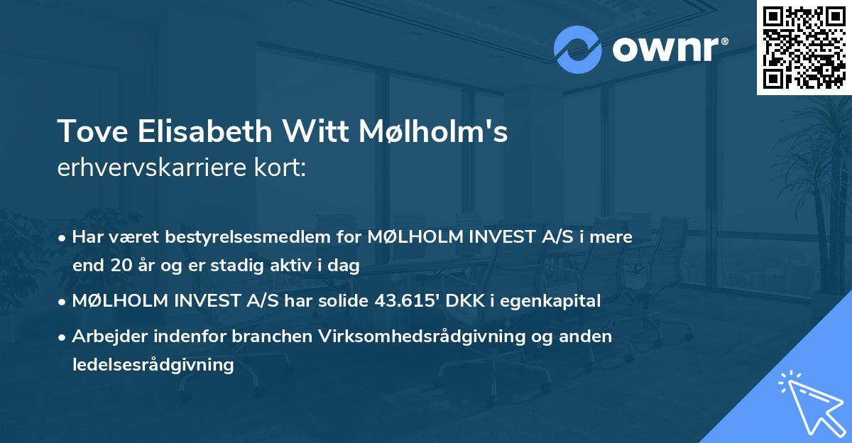 Tove Elisabeth Witt Mølholm's erhvervskarriere kort