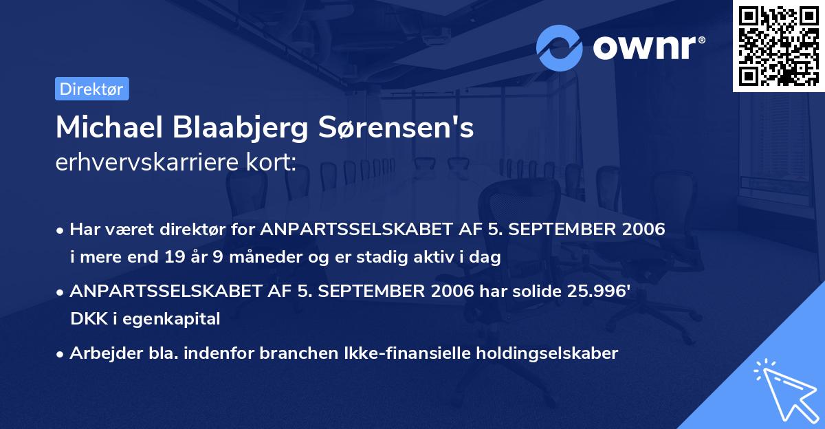 Michael Blaabjerg Sørensen's erhvervskarriere kort