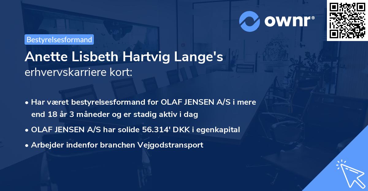 Anette Lisbeth Hartvig Lange's erhvervskarriere kort