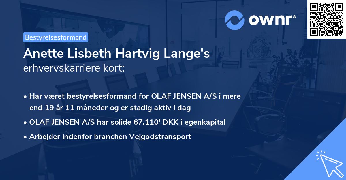 Anette Lisbeth Hartvig Lange's erhvervskarriere kort