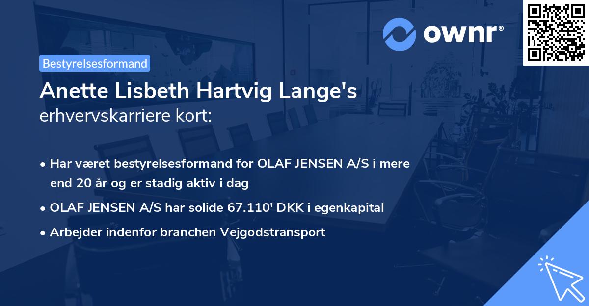 Anette Lisbeth Hartvig Lange's erhvervskarriere kort