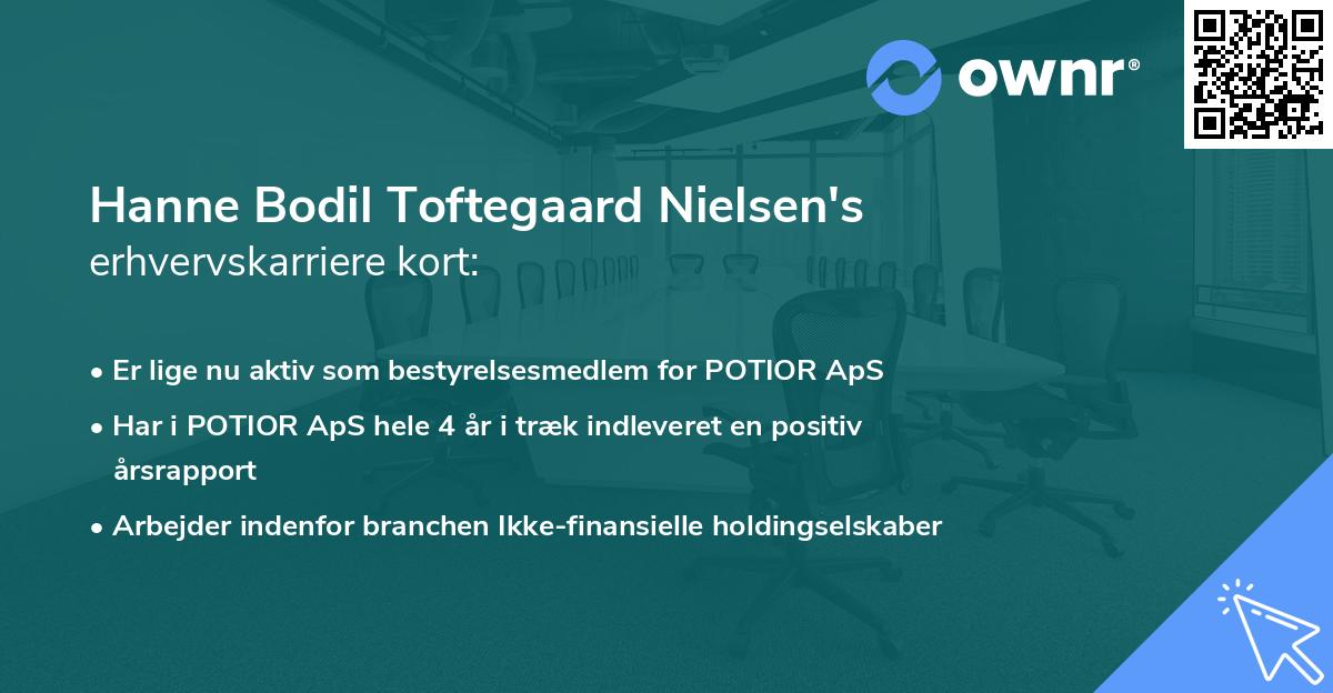 Hanne Bodil Toftegaard Nielsen's erhvervskarriere kort