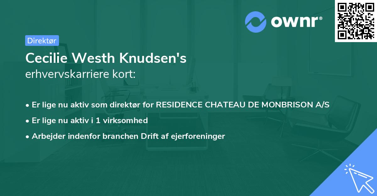 Cecilie Westh Knudsen's erhvervskarriere kort