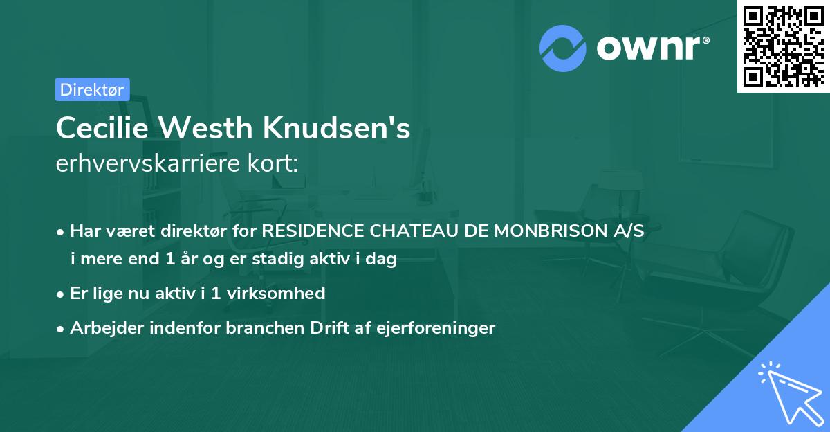 Cecilie Westh Knudsen's erhvervskarriere kort