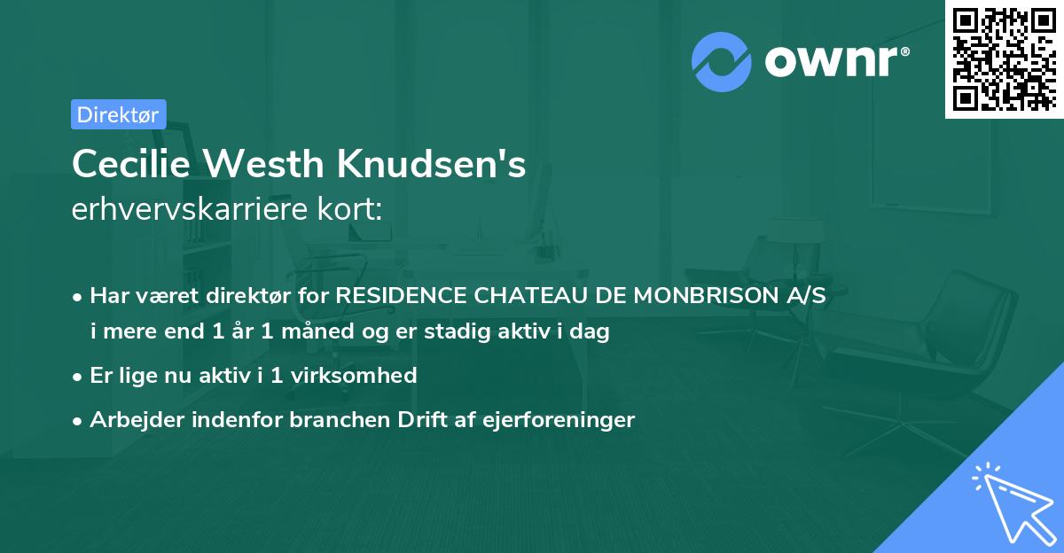 Cecilie Westh Knudsen's erhvervskarriere kort