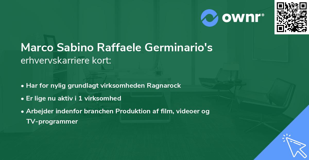 Marco Sabino Raffaele Germinario's erhvervskarriere kort