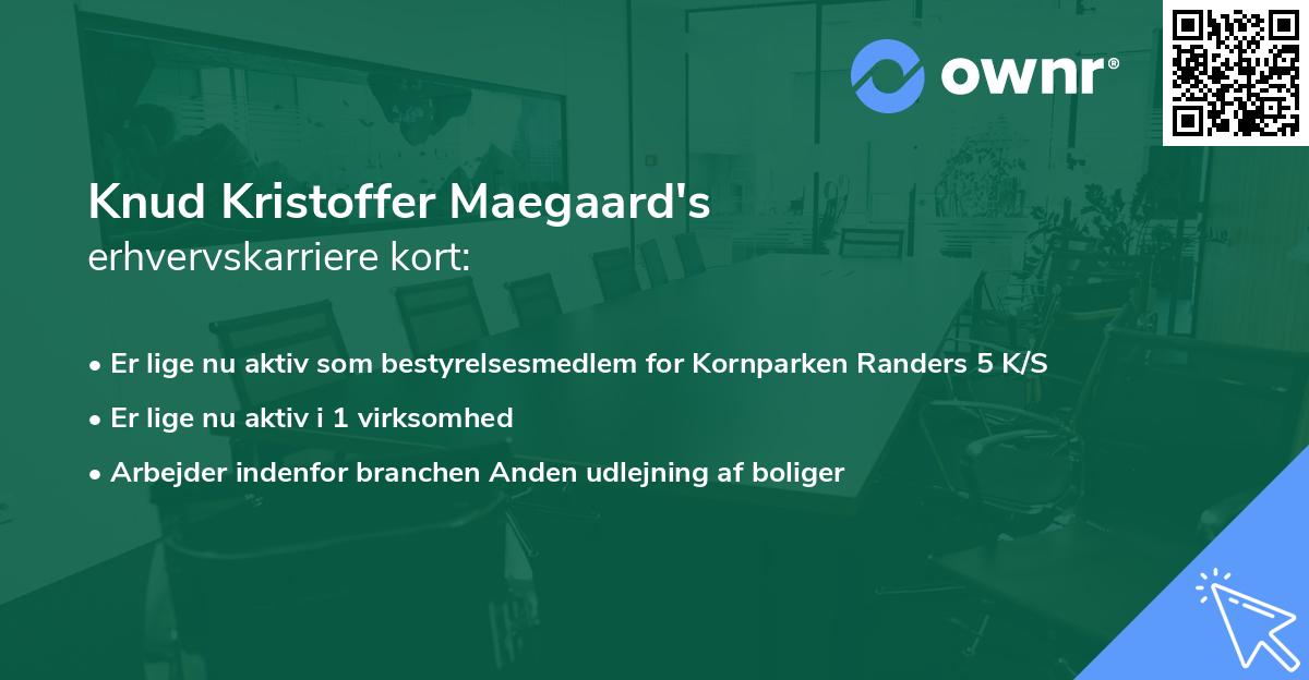 Knud Kristoffer Maegaard's erhvervskarriere kort
