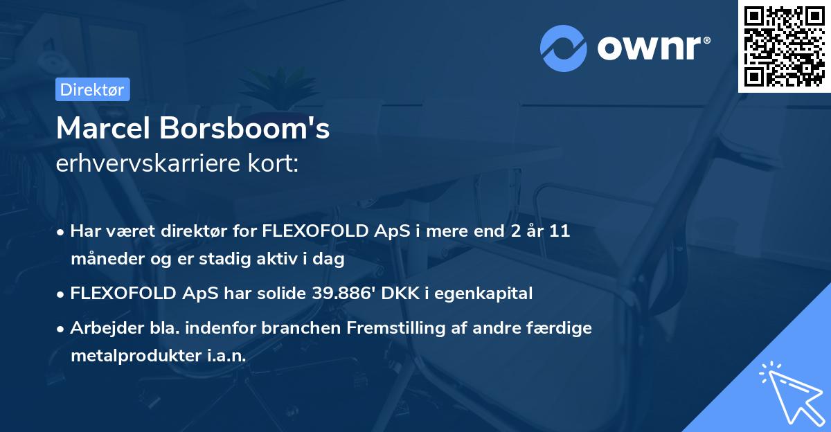 Marcel Borsboom's erhvervskarriere kort