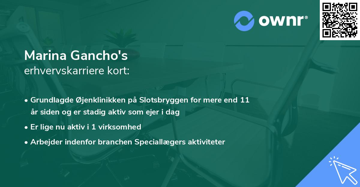 Marina Gancho's erhvervskarriere kort