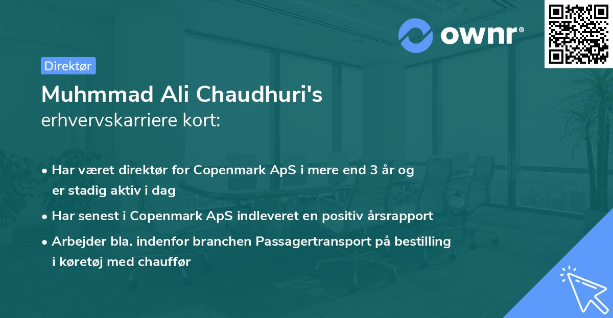 Muhmmad Ali Chaudhuri's erhvervskarriere kort