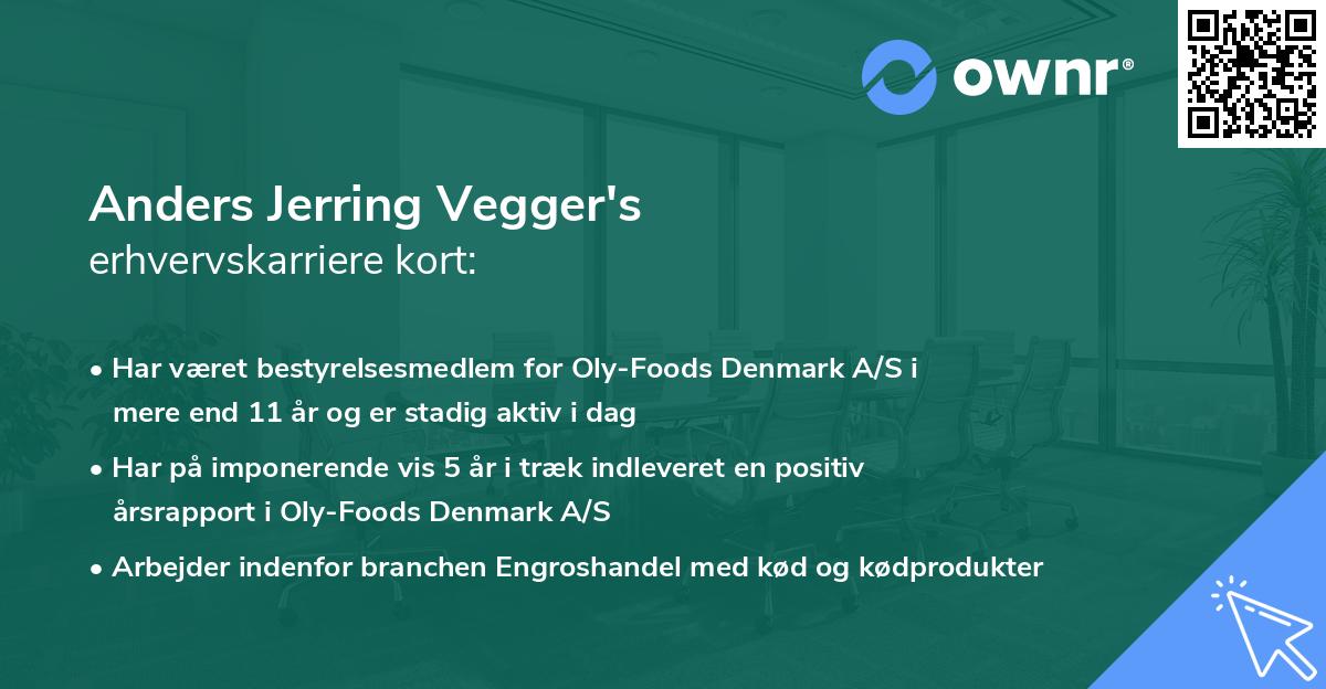 Anders Jerring Vegger's erhvervskarriere kort