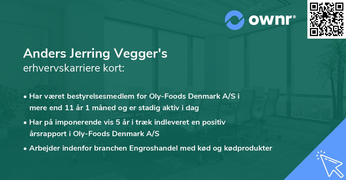 Anders Jerring Vegger's erhvervskarriere kort