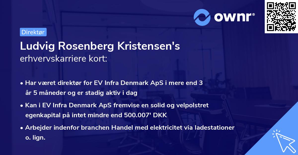 Ludvig Rosenberg Kristensen's erhvervskarriere kort