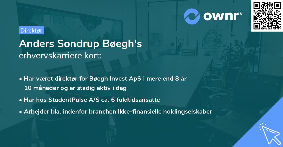 Anders Sondrup Bøegh's erhvervskarriere kort