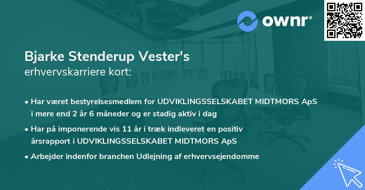 Bjarke Stenderup Vester's erhvervskarriere kort