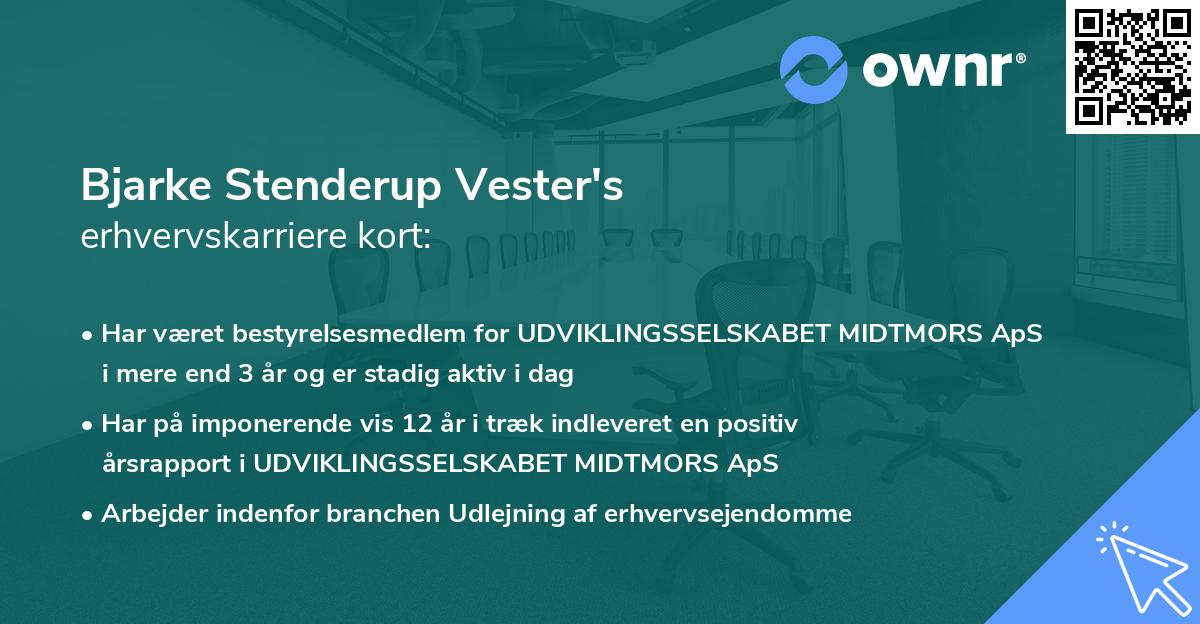 Bjarke Stenderup Vester's erhvervskarriere kort