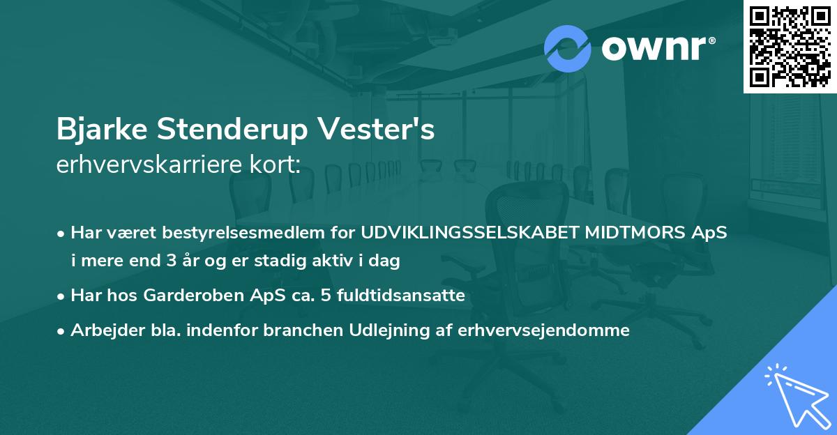 Bjarke Stenderup Vester's erhvervskarriere kort
