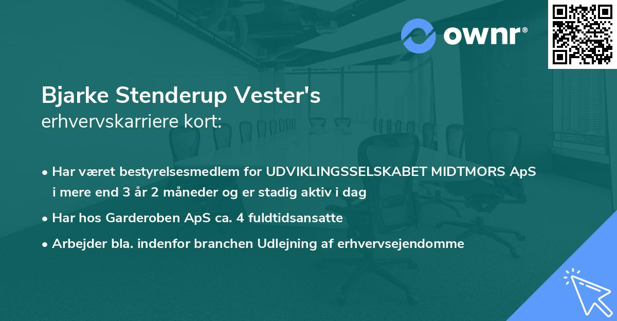 Bjarke Stenderup Vester's erhvervskarriere kort