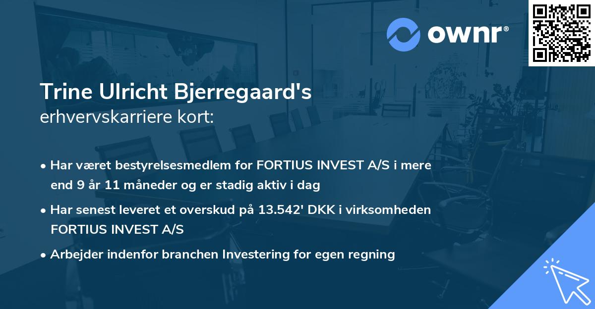 Trine Ulricht Bjerregaard's erhvervskarriere kort