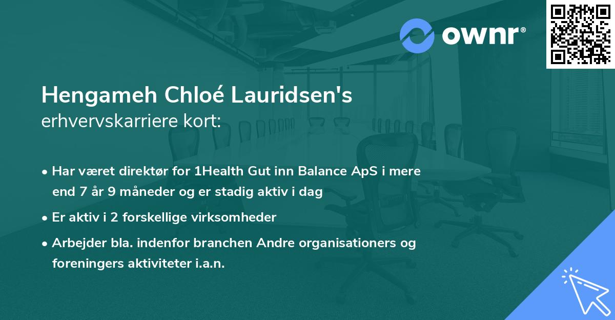 Hengameh Chloé Lauridsen's erhvervskarriere kort