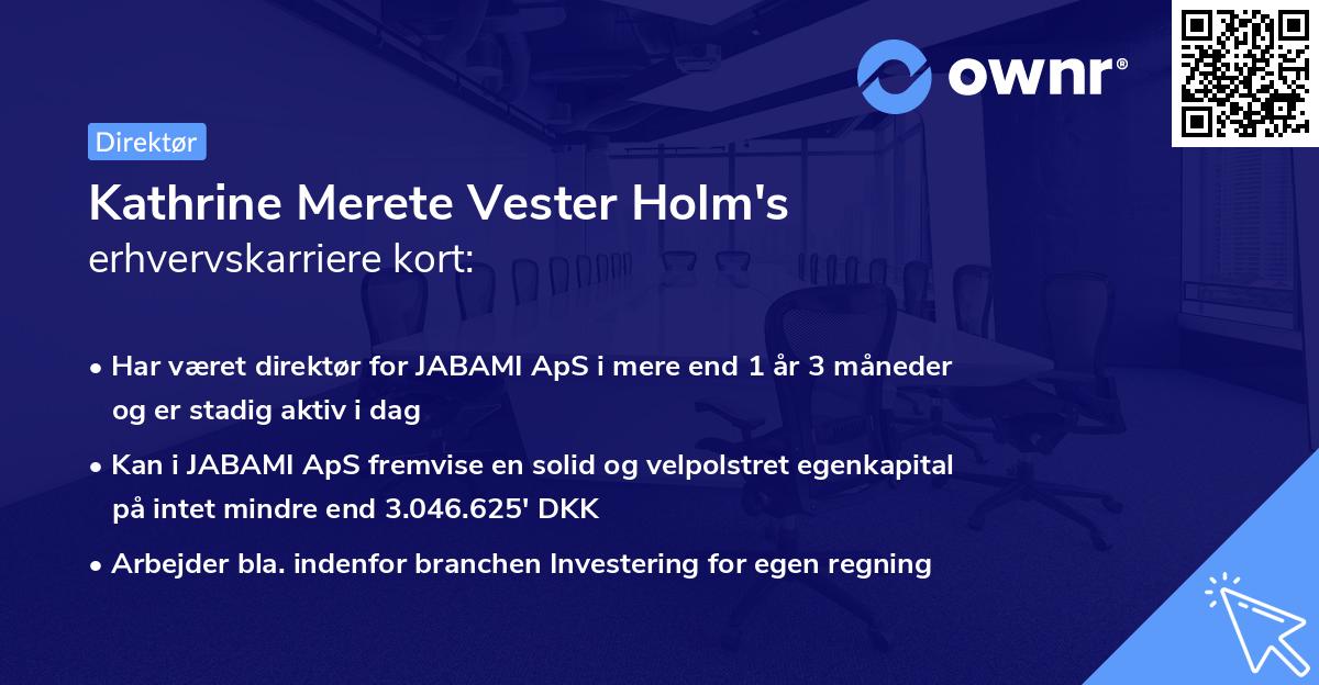 Kathrine Merete Vester Holm's erhvervskarriere kort