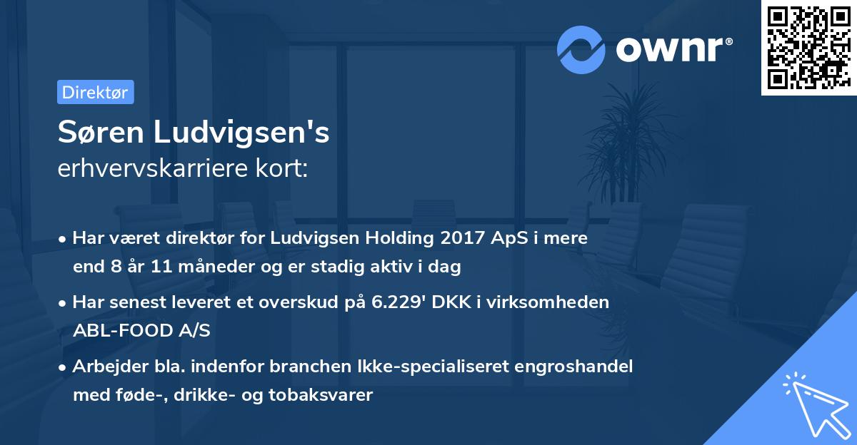 Søren Ludvigsen's erhvervskarriere kort
