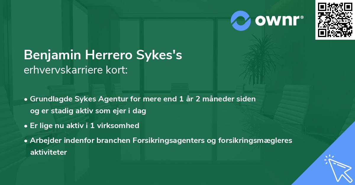 Benjamin Herrero Sykes's erhvervskarriere kort