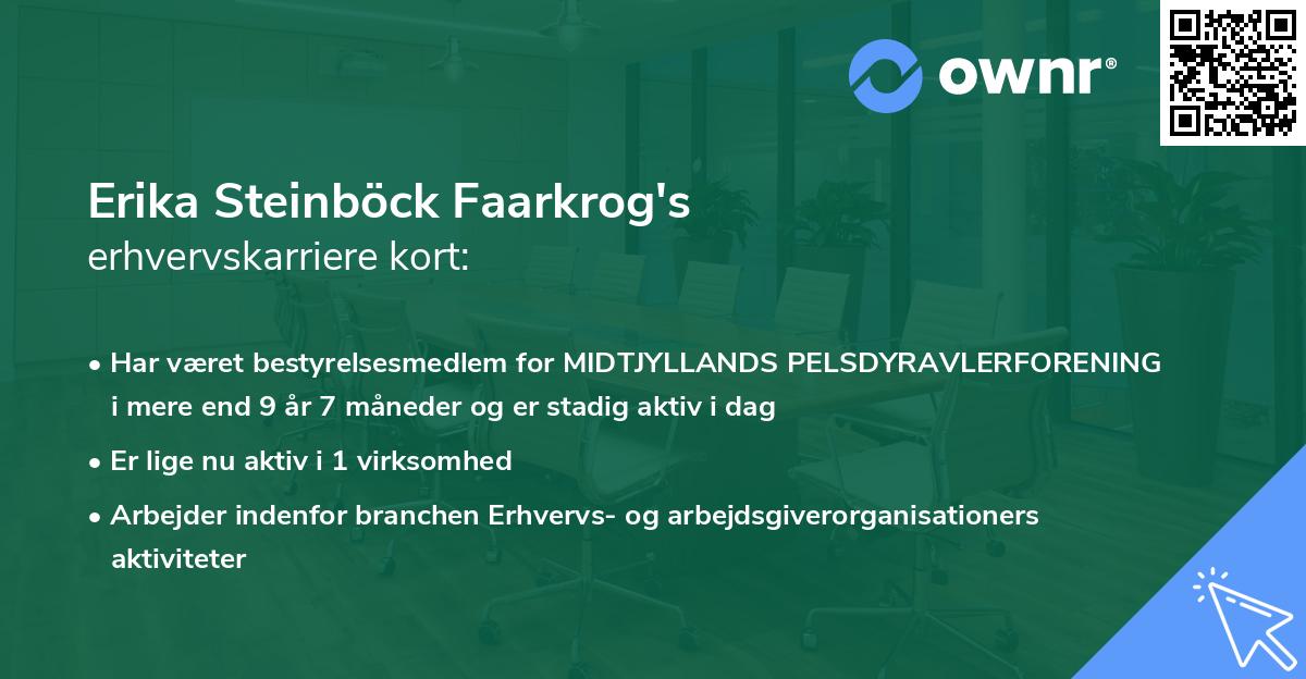 Erika Steinböck Faarkrog's erhvervskarriere kort