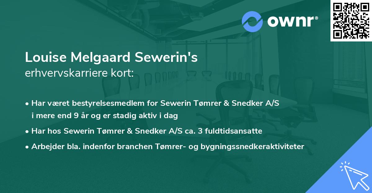 Louise Melgaard Sewerin's erhvervskarriere kort