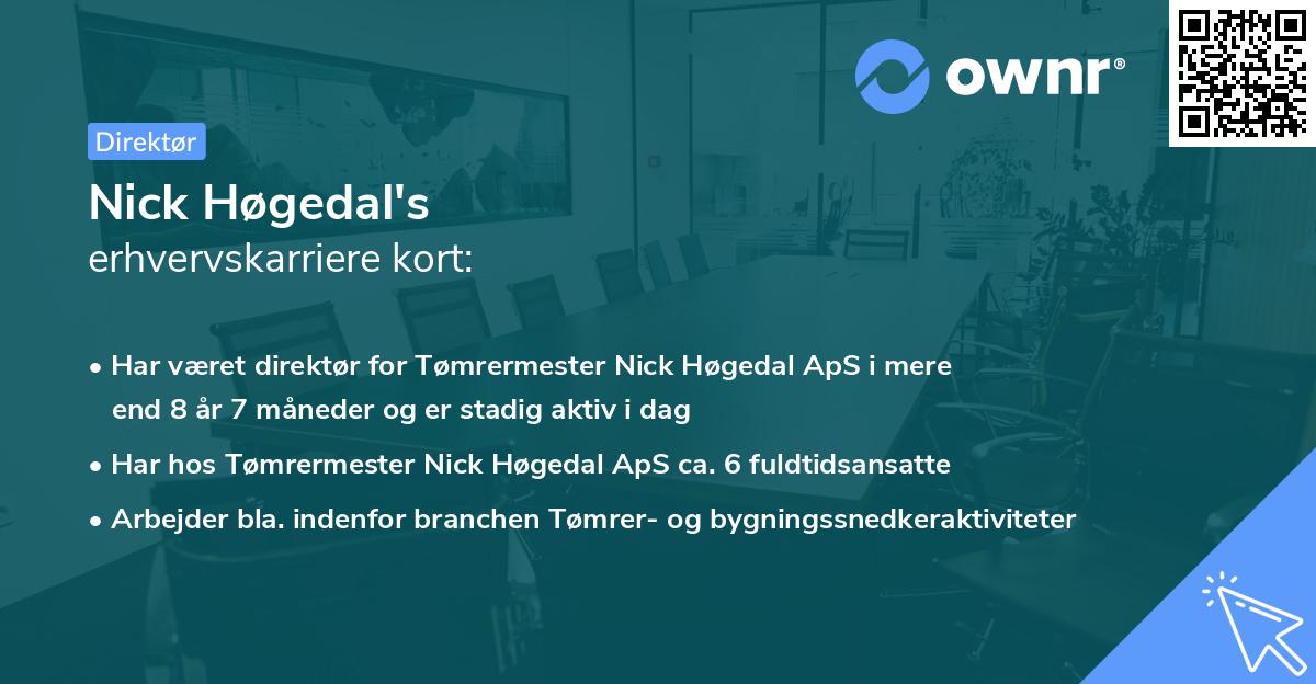 Nick Høgedal's erhvervskarriere kort